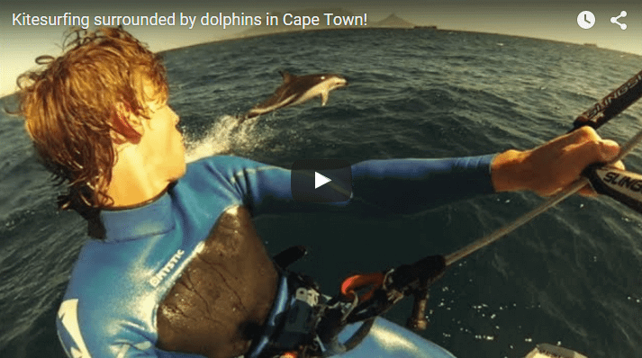 [:es]Navegando con delfines en Cape Town[:] 