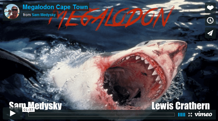 [:en]Megalodon Cape Town - Sam Medysky[:] 