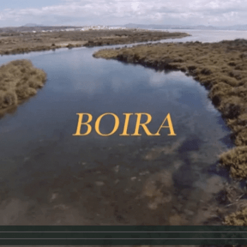 BOIRA - Tarifa