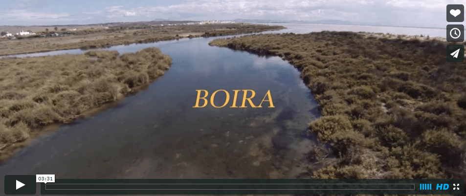 BOIRA - Tarifa 